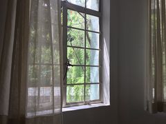 -MAISON门前杂货店