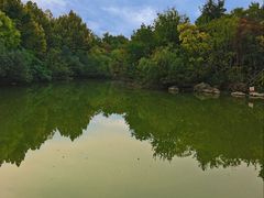 -上海吴淞炮台湾国家湿地公园