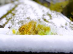 -瓷语堂(上海五维空间创意园店)