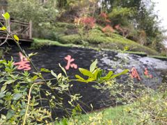 -长谷洞天