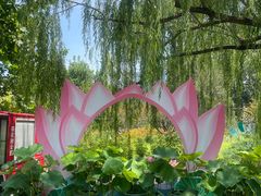 -莲花池公园