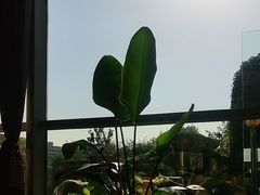 -裕龙汤泉