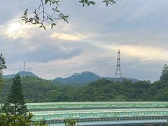 -深圳仙湖植物园
