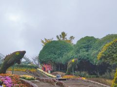-南山植物园