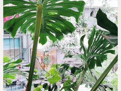 -ROAST