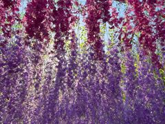 -狼山风景名胜区