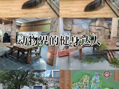-无锡动物园·太湖欢乐园