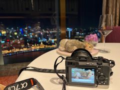 -金轩中餐厅 Jin Xuan(浦东丽思卡尔顿酒店)