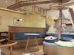 -滚猫咖啡·猫咖·猫友好撸猫(未来城店)