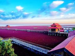 -红海滩国家风景廊道