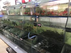 -岛中岛·海鲜大排档·万宁老字号(东澳店)