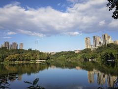 -重庆彩云湖湿地公园
