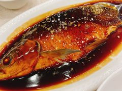 西湖醋鱼-楼外楼(西湖景区孤山路店)