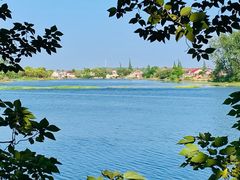 -溱湖国家湿地公园