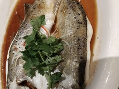 清蒸海鲈鱼-大厨小馆(华阳城店)