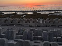 -南汇嘴观海公园