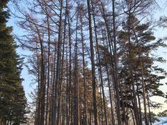 -长春市南湖公园