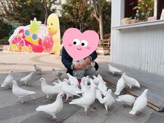 -南宫五洲植物乐园