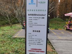 -黄海国家森林公园