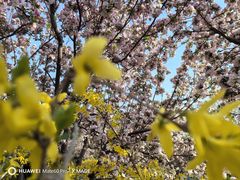 -元大都城垣遗址公园