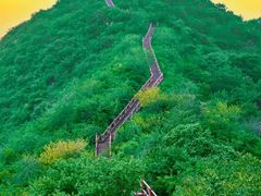 -大岭沟猕猴桃谷风景区