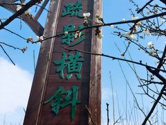 -香雪海
