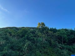 -宁波松兰山滨海旅游度假区