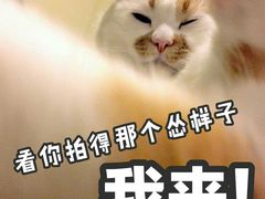 -茶理宜世(东方宝泰店)