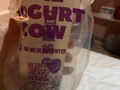 -一只酸奶牛(八一路店)