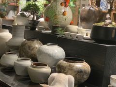 -自由生长植物工作室(深港花卉中心店)