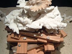 -亚龙湾中心广场·贝壳馆