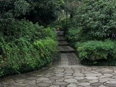 -杭州半山国家森林公园