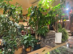 -慢丽江·云南野生菌土鸡锅(付家庄店)