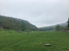 -武陵山森林公园