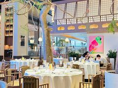 -桂满陇·海市蜃楼·黑金(国金店)