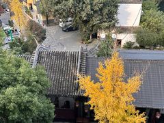 -生宇山珍野生菌汤锅•始于2002(双流古塔店)