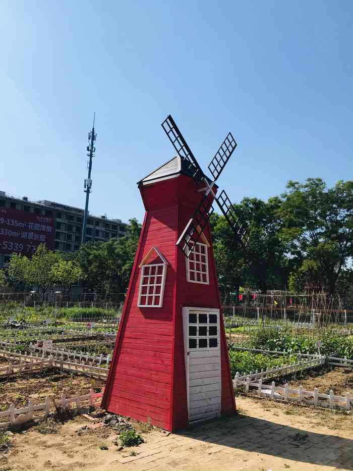 怪村油菜花门票图片