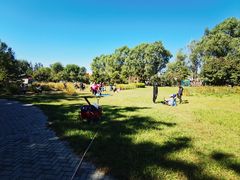 -北京麋鹿生态实验中心