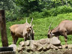 -北京野生动物园