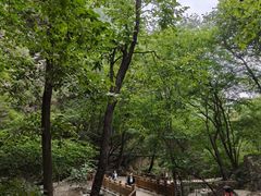 -北京上方山国家森林公园