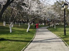 -范蠡湖公园