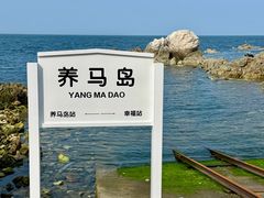 -养马岛旅游度假区
