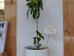 -呷贺盐酥鸡(抄纸巷店)