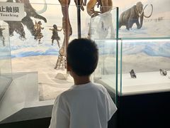 -辽宁古生物博物馆