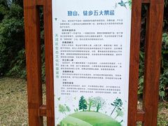 -火炉山森林公园