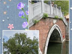 -宝通禅寺