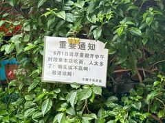 -左撇子私房面