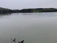 -海珠湖公园