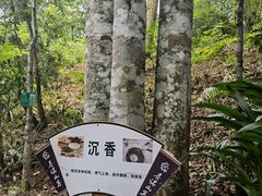 -西双版纳基诺山寨