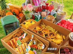 -顾村公园